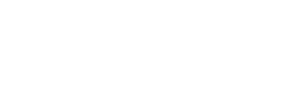 Logo Juan Pablo II-Bandera Blanco